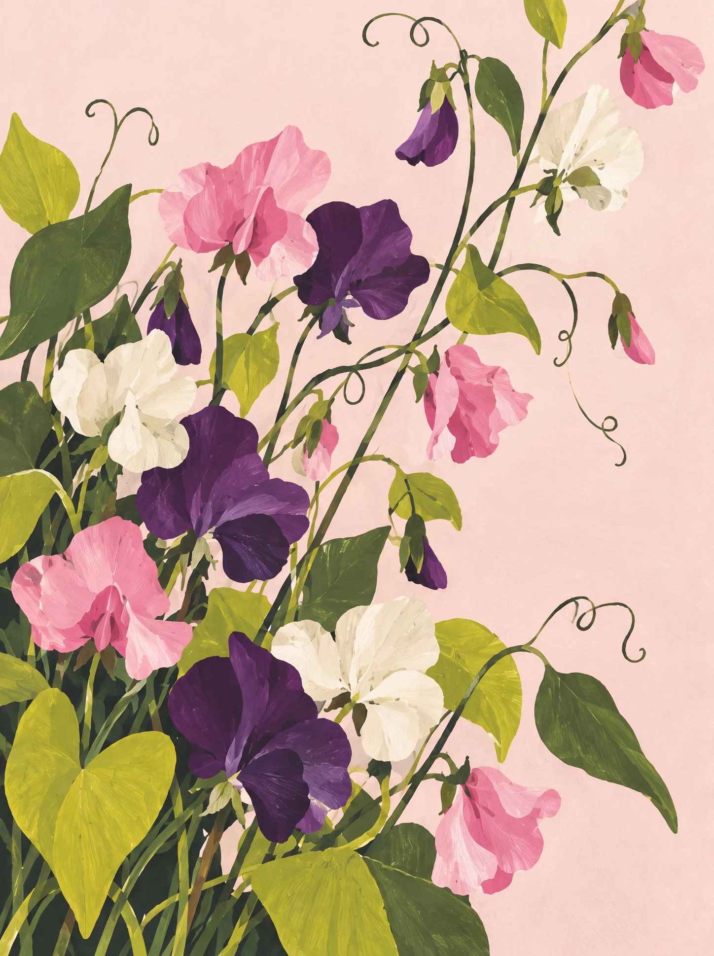 Sweet Peas, Still Climbing